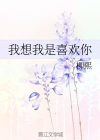 我想我是喜欢你